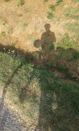 Mein Schatten