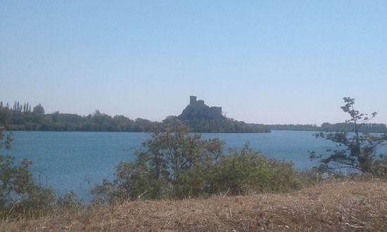 Burg