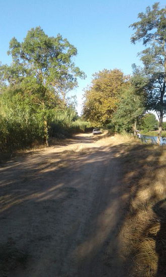 Der Weg ist schattig und nett.