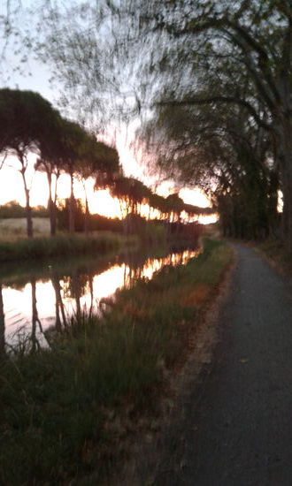 Morgenstimmung (im Rücken)
