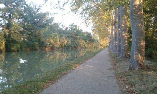 Der Weg