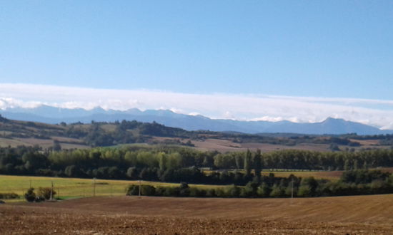 Zwischenblick