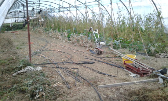 Links das bearbeitete Stück. Die Tomatenzeit ist jetzt vorbei