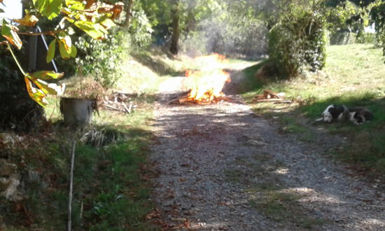 Das Feuer