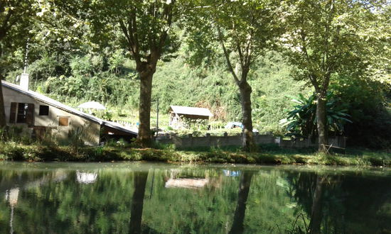 Am Canal