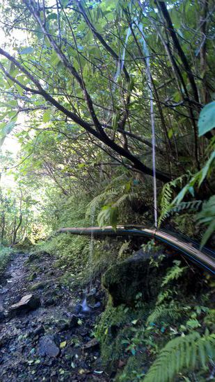 Begleitet wurden wir von einem 7 - 8 " starken PE-Rohr.
Hier mit einer kleinen Sprenkleranlage.