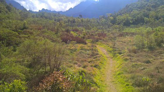 Nachdem wir etliche hundert Höhenmeter rauf und wieder runter gegangen waren, kamen wir auf eine grasbewachsene Hochebene. So wie es aussah wurde dort früher Landwirtschaft betrieben.