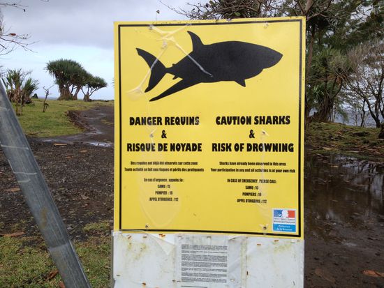 Gleichzeitig wurde vor Haien gewarnt. Aber wir hatten keine Angst. Oder war es nur Leichtsinn?
