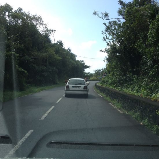 Es ist nicht mehr ansatzweise etwas von Lava zu erkennen und die Hunde im Auto vor uns scheinen auch sehr interessiert 