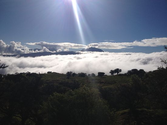 Bergspitzen in den Wolken und grüne Hügel, alles war bewachsen!