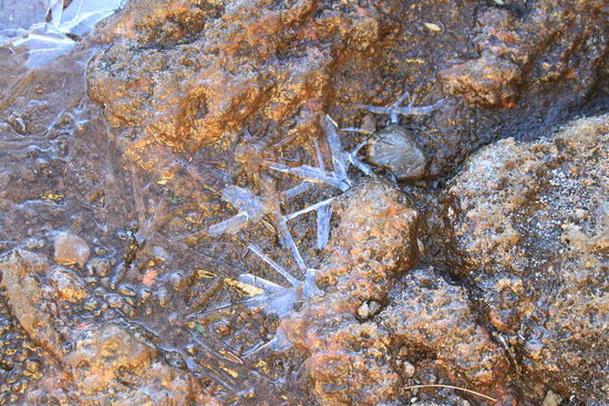 Der Frost hatte schöne Strukturen geschaffen