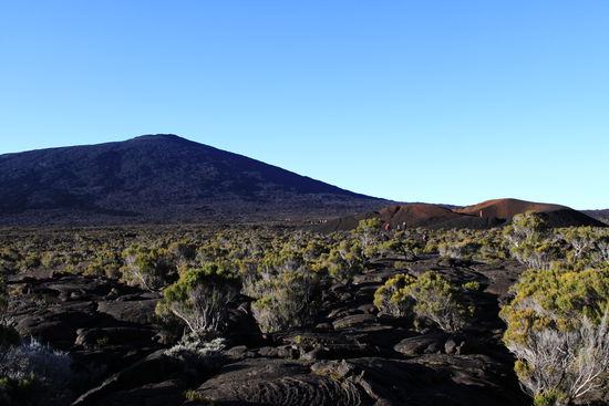 Auf der Kraterebene befand sich eine mit niedrigen Gestrüpp mehr oder weniger stark bewachsene Fläche.