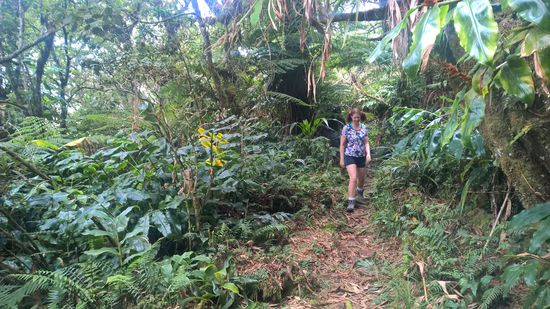 Der Mensch ist winzig und kommt sich fehl am Platz vor