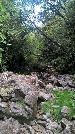 Wenig unbewachsene Flecken