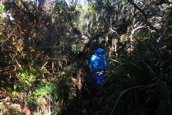 Also, wie gesagt, in Daunenjacke und Skiwäsche ging es los.