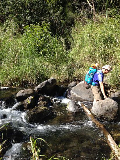 Der Stieg schien nicht so vertrauensvoll.
