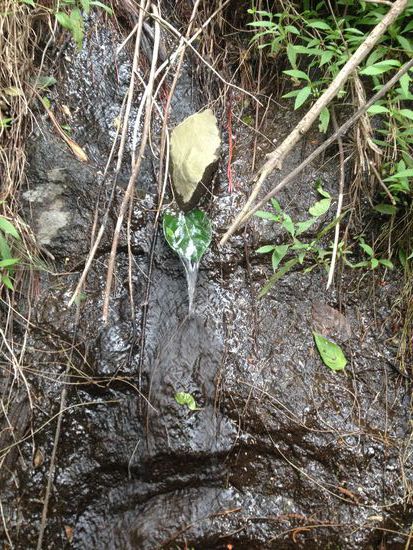 Hier eine gute Idee seine Wasserflasche zu füllen