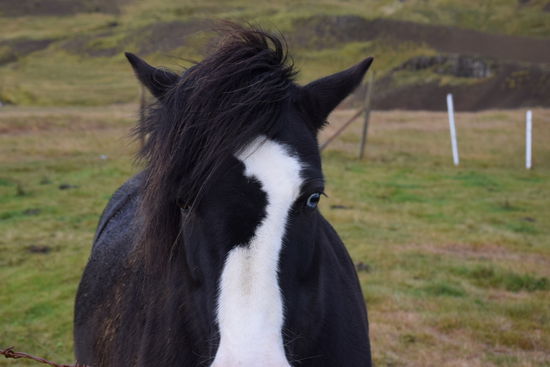 Schau mir in die Augen Baby!