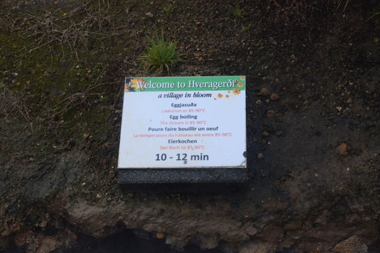 Dazu ein paar Eier und Tomaten aus dem Gewächshaus.