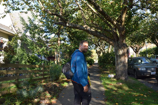 Es ist so grün hier und überall wachsen riesen Bäume.