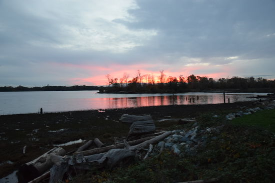 Fraser River. Dort spazierten wir Kathy.