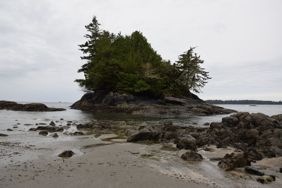 In der Nähe von Tofino am McKenzie Beach