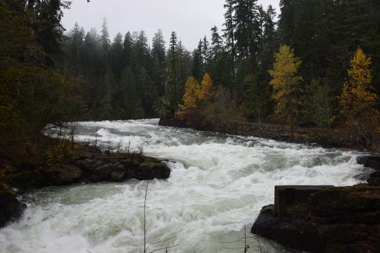 Stamp Falls leider ohne Lachs