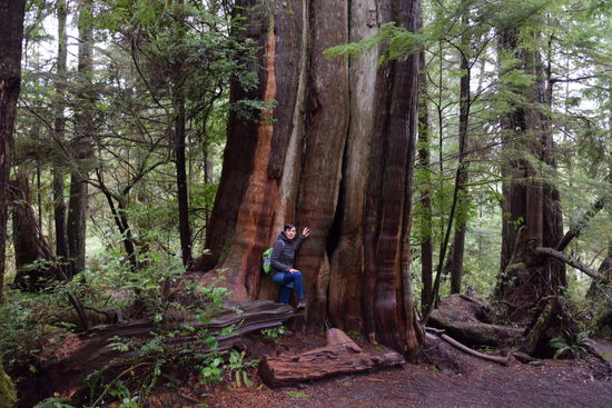 Der Wild Pacific Trail bei Ucluelet
