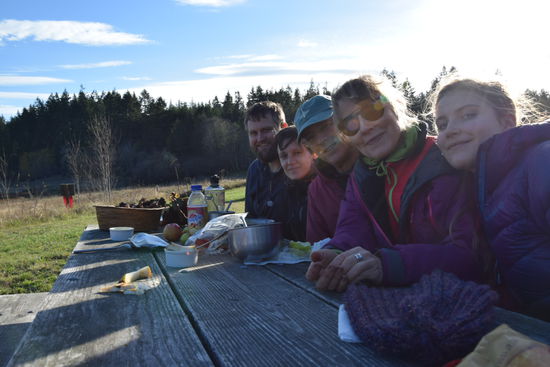 Picknick nach Pilzsuche