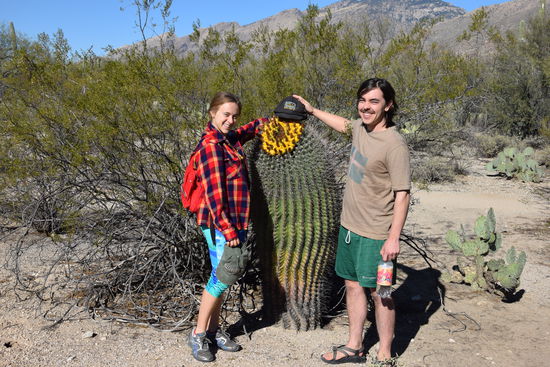 Brook, Noah und Mister Kaktus