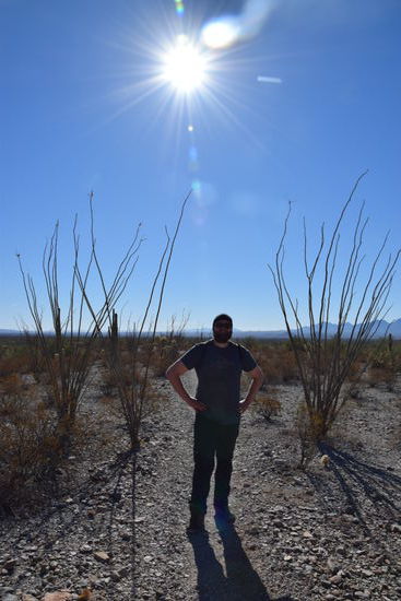 Wanderung im Organ Pipe Park