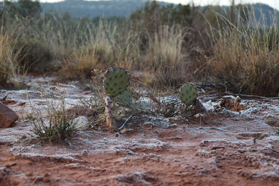 Ja auch in der Wüste kann es kalt werden