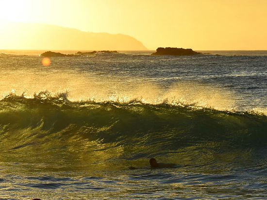 Rahan badet an der Northshore