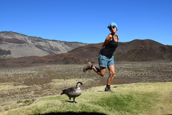 Nenē, der hawaiianische Nationalvogel und ich