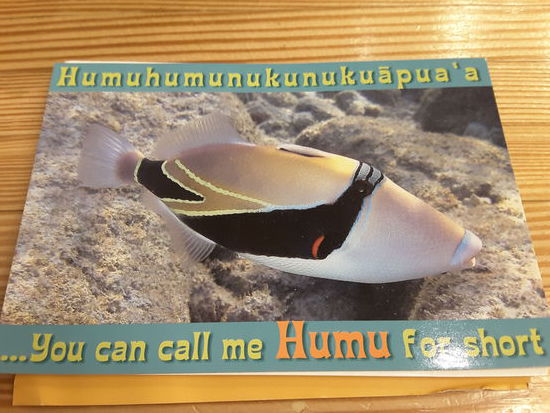 Und mein Lieblingsfisch