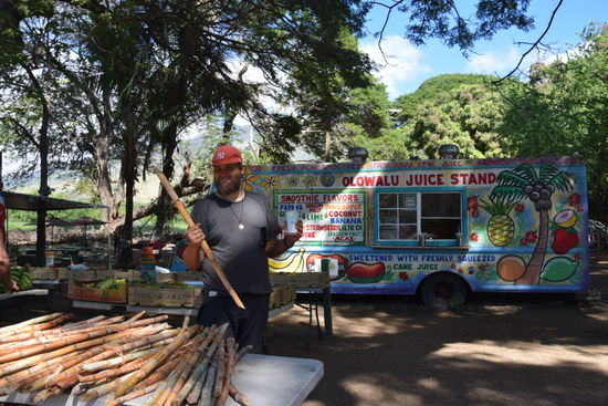 Lecker frische Smoothies