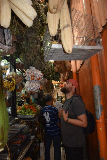 Auf dem Markt gabs vom lebendigen Küken, Fleisch, Gemüse bis zur Hängematte wirklich alles