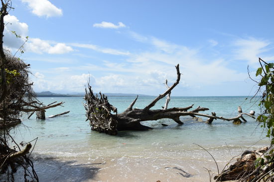 Die Karibikstrände sind einfach einTraum