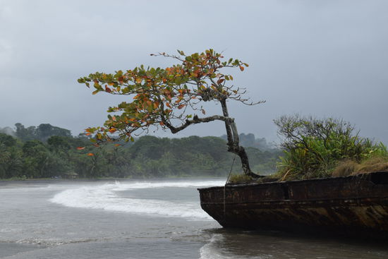 Am Strand von Puerto Viejo