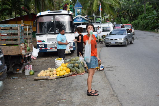 Typische Obststände. Das Obst hier ist so köstlich. Unser Favorit ist Papaya