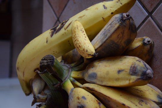 Die Bananen Costa Ricas