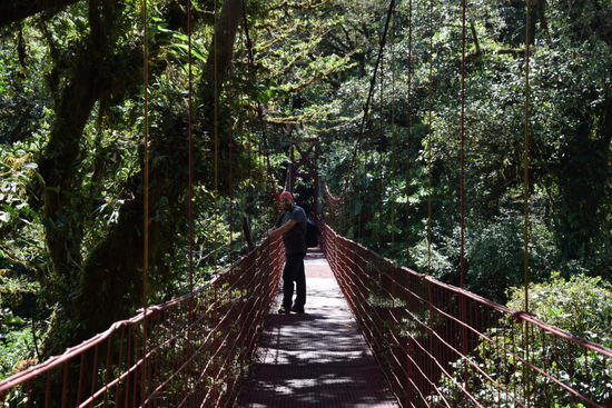 Wanderrung durch den Nebelwald