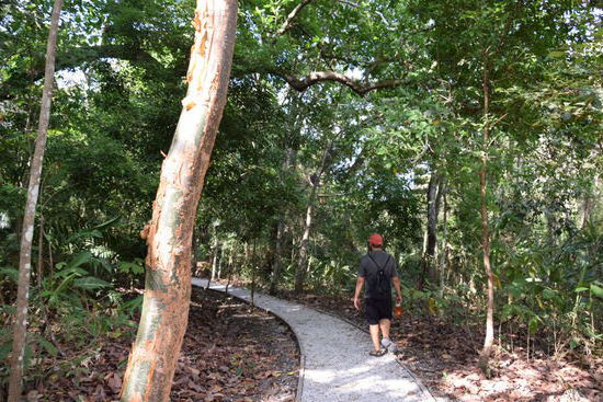Unser Highlight
Der Ausflug in den Metropolitan Natural Park