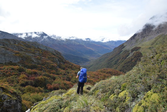 Der Paso de la oveja