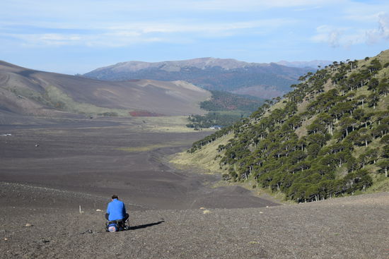 Die Landschaft wechselt zwischen schwarzer Wüste und Wald