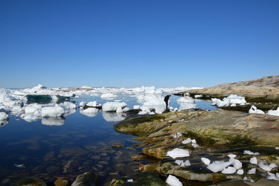 So sah der Fjord aus bevor die Eismassen über Nacht kamen.