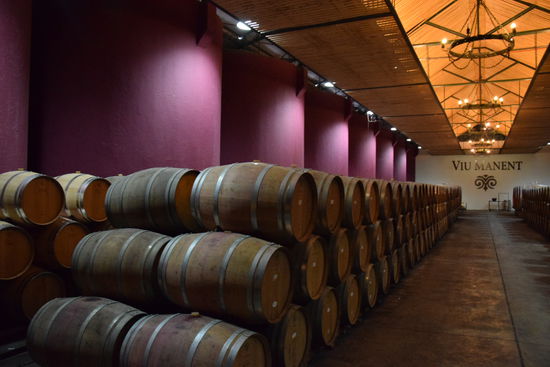 Zu Besuch beim Weingut