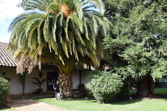 Das Klima hier ist so angenehm