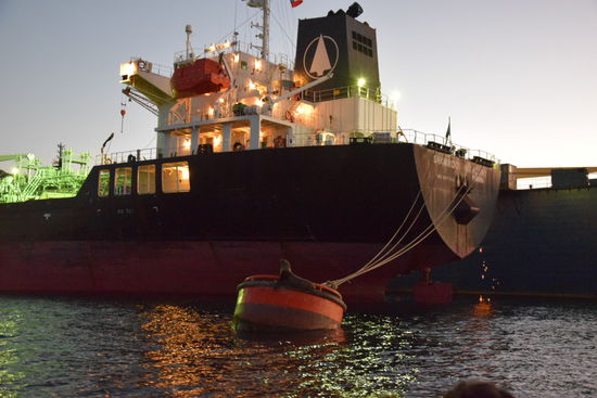 Hier hat sich ein Seelöwe versteckt