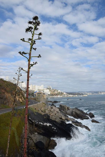 Blick auf Viña del Mar